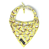 Snacktime - Bandana