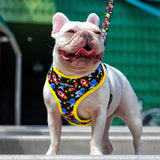 Rocketman x Galactic Swag - Reversible Harness