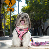 Love Bones x Tie Dye Spirals - Reversible Harness