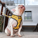 Breakfast of Champs x Snacktime - Reversible Harness