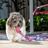 Love Bones x Tie Dye Spirals - Leash