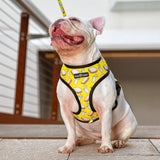 Breakfast of Champs x Snacktime - Reversible Harness