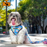 Love Bones x Tie Dye Spirals - Reversible Harness