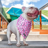 Love Bones - Bandana